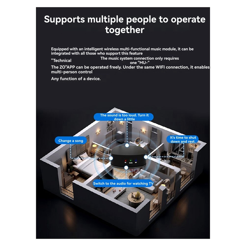 Audio Music Network - Super Sale WiFi-Audio-Decoder-Player, Netzwerk-Streaming-Media-Decoder, Musik-Glasfaser-Bluetooth-DLNA-Empfänger