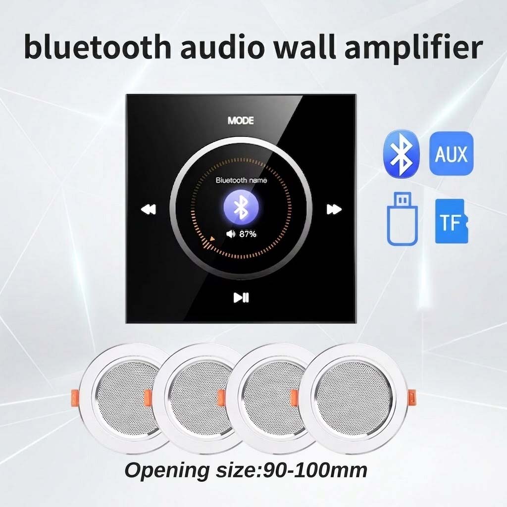Bluetooth-Wandmontierter Audio – Audio Music System For Home Bewertung und Preis