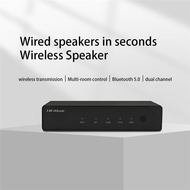 Hifimuse R20 Wireless Wifi Blu – Audio Music Spotify Bewertung und Preis