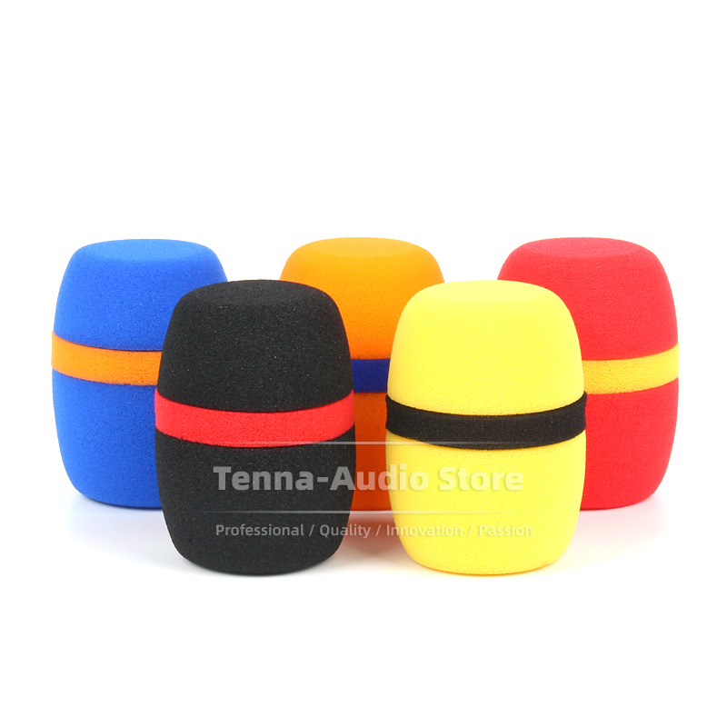 2 TEILE/LOS Für Blaue Raspberr – Recording Pop Filter Bewertung und Preis